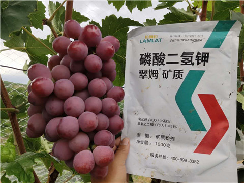 磷酸二氫鉀，拉姆拉，翠姆