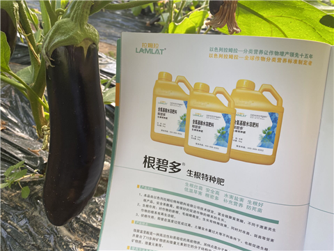 水溶肥，拉姆拉，翠姆