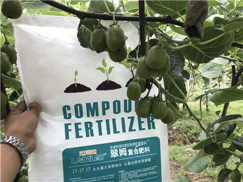 顆粒水溶肥，拉姆拉，翠姆