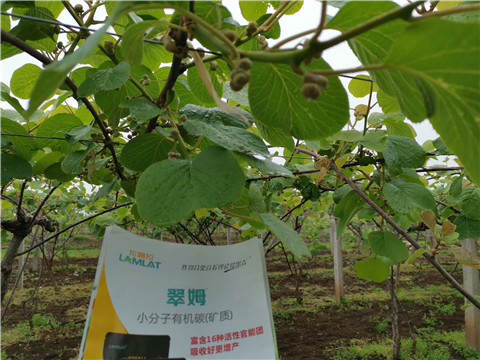 小分子有機(jī)碳，拉姆拉，翠姆