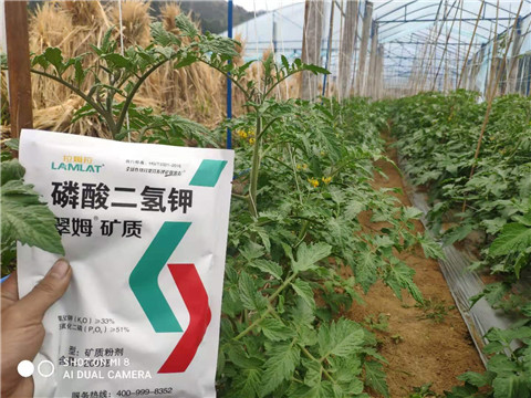 磷酸二氫鉀，拉姆拉，翠姆