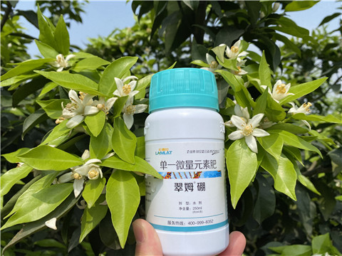葉面肥，拉姆拉，翠姆