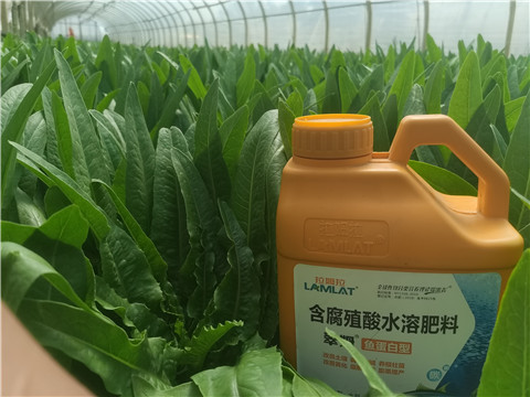 沖施肥，拉姆拉，翠姆