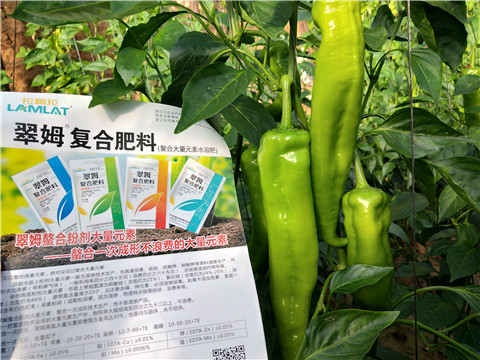 辣椒，拉姆拉，翠姆
