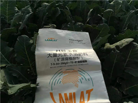 大量元素水溶肥，拉姆拉，翠姆