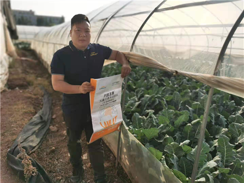大量元素水溶肥，拉姆拉，翠姆
