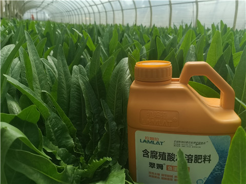 水溶肥，翠姆，拉姆拉