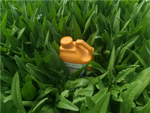 水溶肥，翠姆，拉姆拉