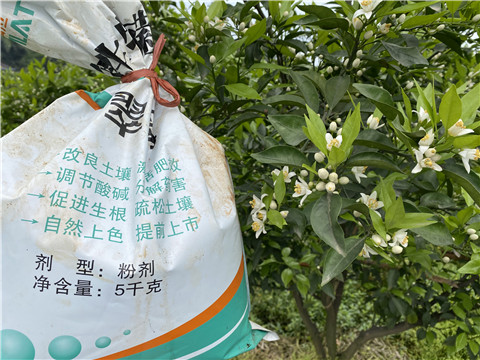 水溶肥，翠姆，拉姆拉