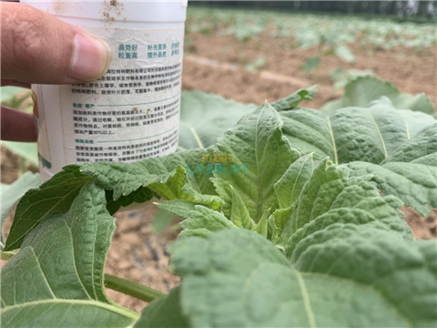 水溶肥，翠姆，拉姆拉