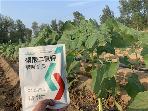 水溶肥，翠姆，拉姆拉