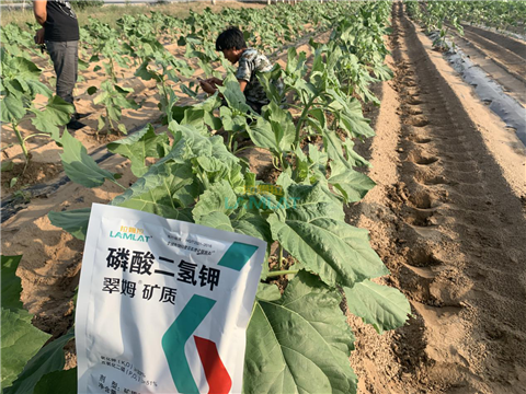 水溶肥，翠姆，拉姆拉