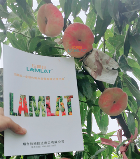 水溶肥，翠姆，拉姆拉