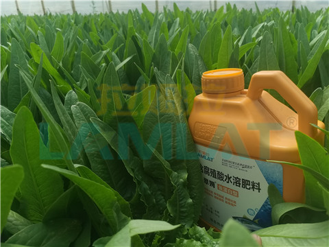 水溶肥，翠姆，拉姆拉