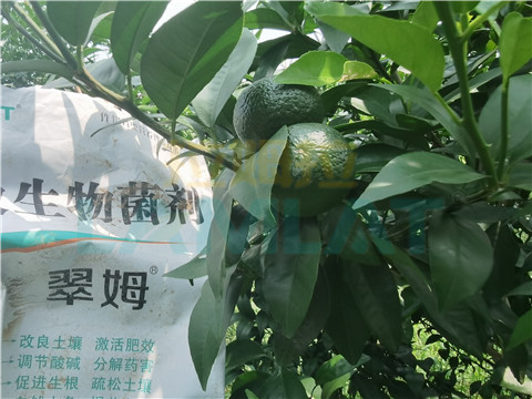 微生物菌劑，翠姆，拉姆拉