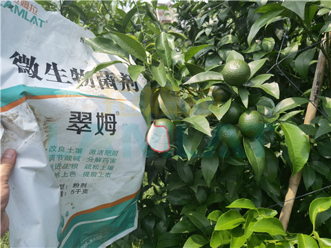 微生物菌劑，翠姆，拉姆拉