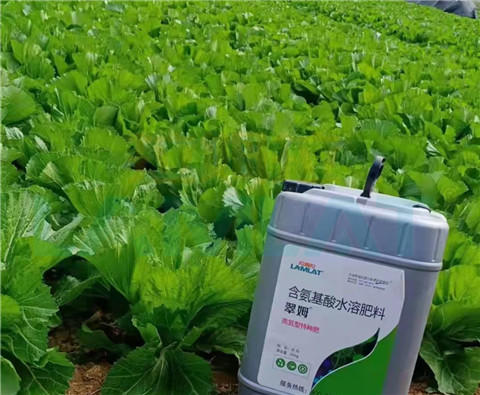 水溶肥，翠姆，拉姆拉