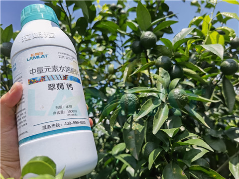 水溶肥，拉姆拉，翠姆