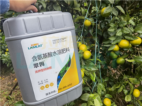 水溶肥，拉姆拉，翠姆