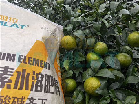 水溶肥，拉姆拉，翠姆