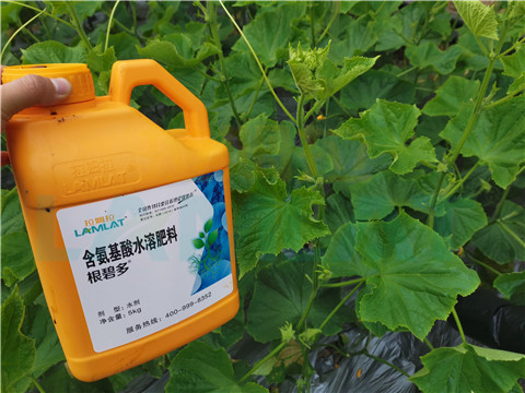 水溶肥，拉姆拉，翠姆