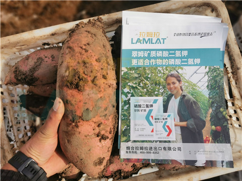 水溶肥，拉姆拉，翠姆