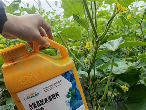 生根劑，拉姆拉，翠姆