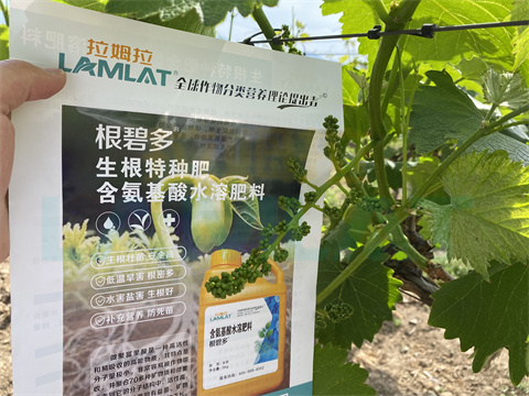 水溶肥，拉姆拉，翠姆