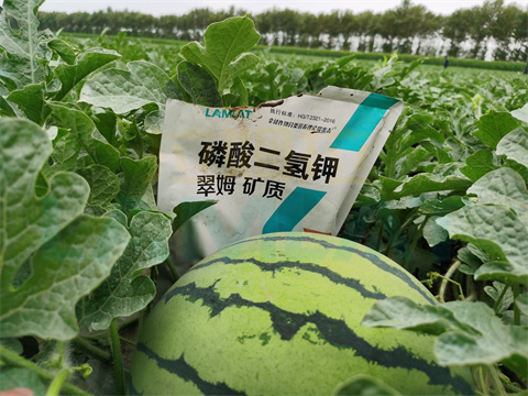 水溶肥，拉姆拉，翠姆