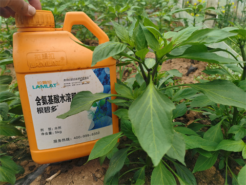 水溶肥，翠姆，拉姆拉