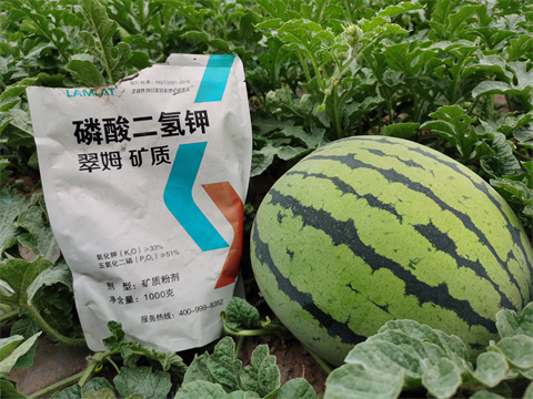 水溶肥，翠姆，拉姆拉