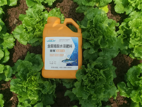 水溶肥,翠姆，蔬菜水溶肥