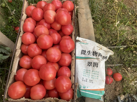 水溶肥廠(chǎng)家,特種水溶肥,拉姆拉水溶肥