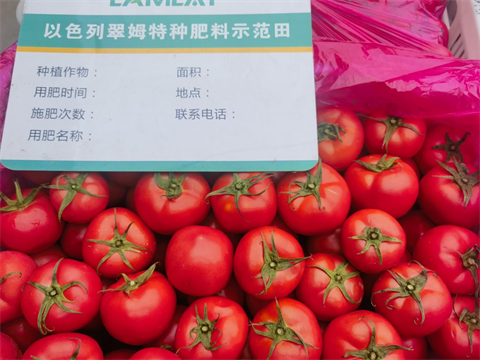 水溶肥廠(chǎng)家,特種水溶肥,拉姆拉水溶肥